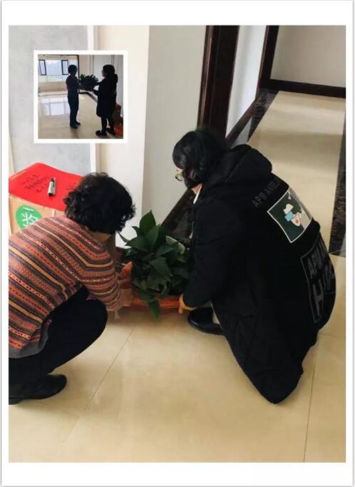 淄博裝修效果圖